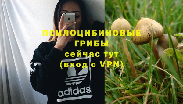 гашишное масло Алексеевка